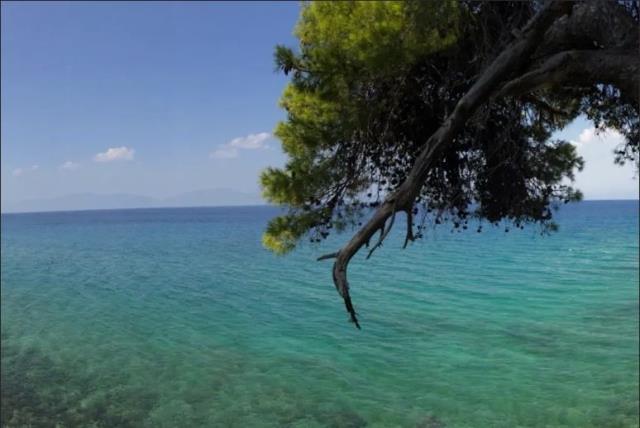 (Προς Πώληση) Κατοικία Βίλα || Ν. Φθιώτιδας/Αταλάντη - 308 τ.μ, 5 Υ/Δ, 600.000€ 